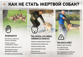 Безопасность от нападения собак.